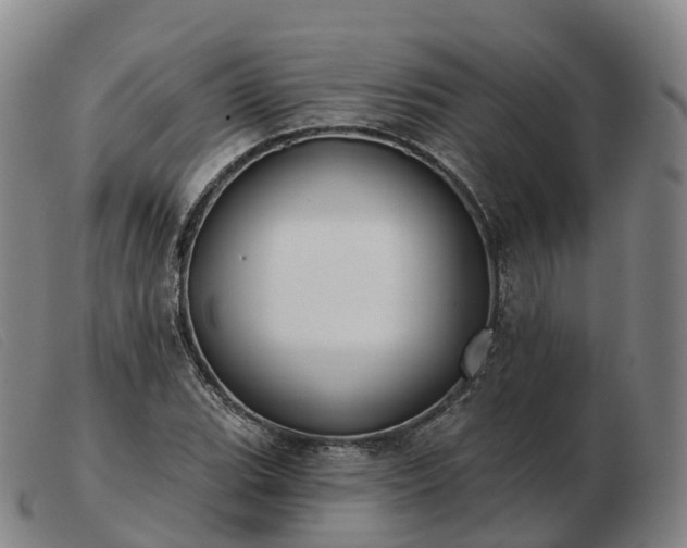 X0000103461119200809191805