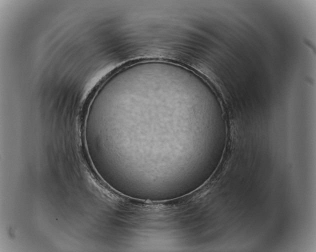 X0000103461120200809191805