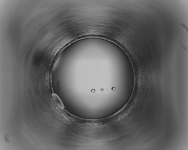 X0000103461121200809191805