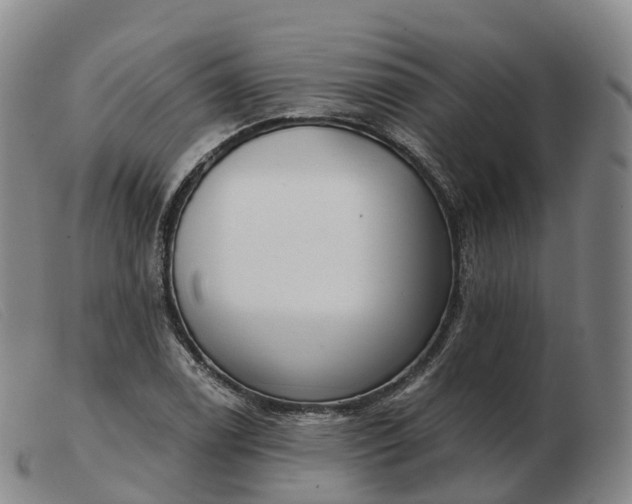 X0000103461122200809191805