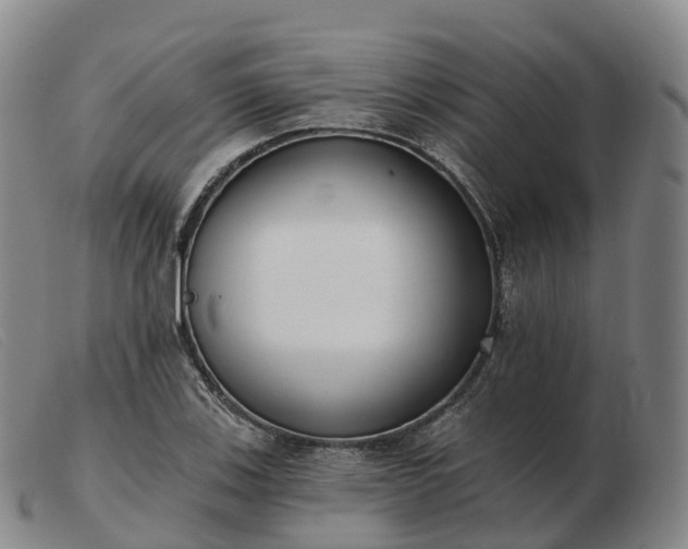 X0000103461123200809191805
