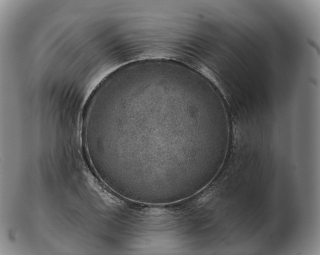 X0000103461124200809191805