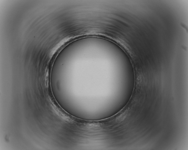 X0000103461126200809191805
