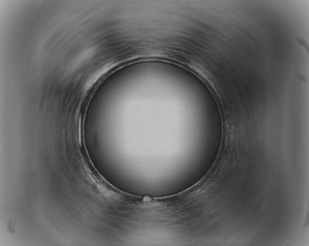 X0000103461127200809191805