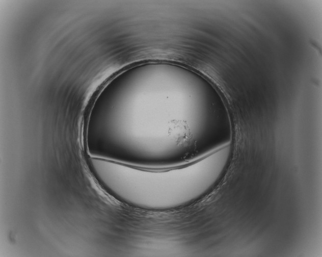 X0000103461128200809191805