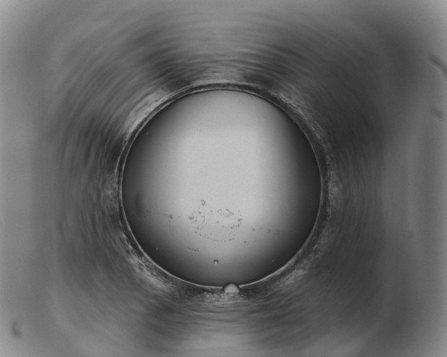 X0000103461129200809191805