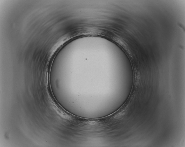 X0000103461130200809191805