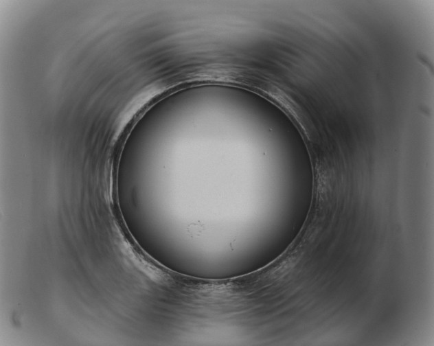X0000103461131200809191805
