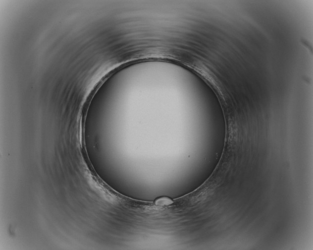X0000103461132200809191805