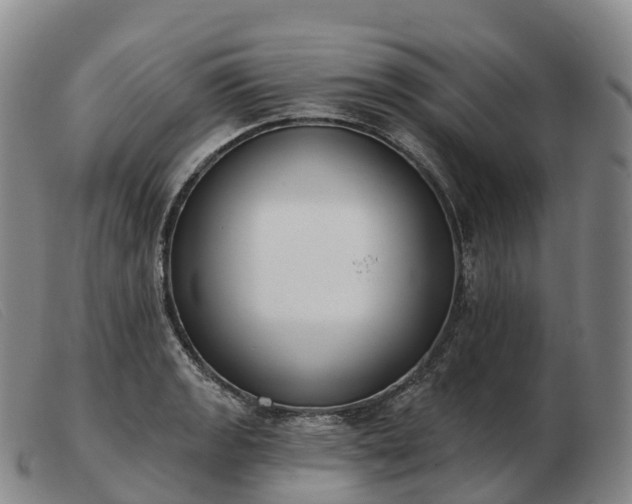 X0000103461133200809191805