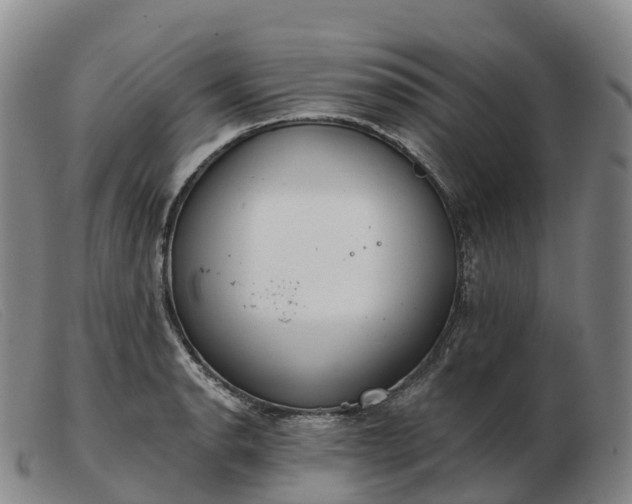 X0000103461134200809191805
