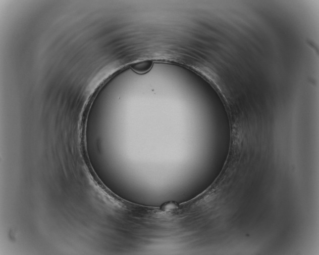 X0000103461135200809191805