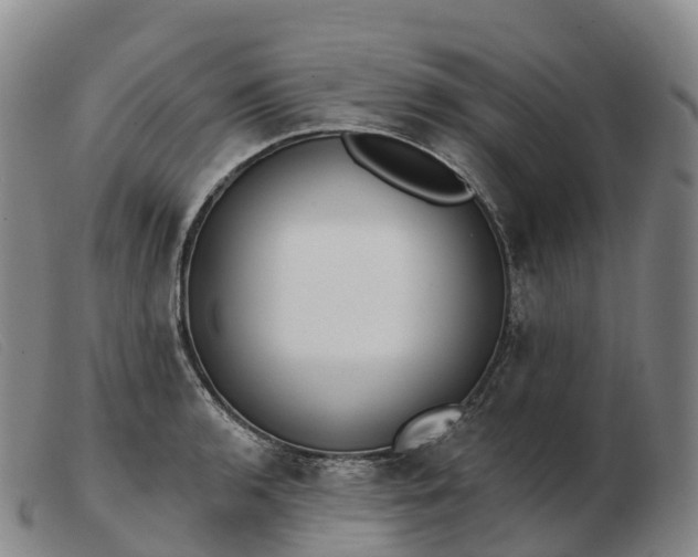 X0000103461136200809191805