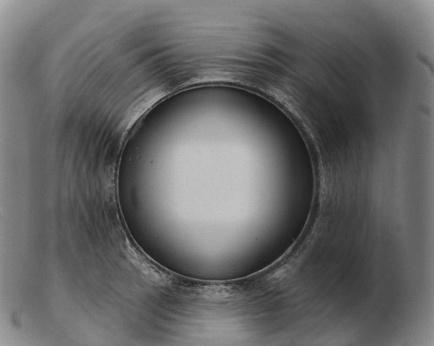 X0000103461137200809191806