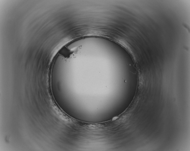 X0000103461138200809191806
