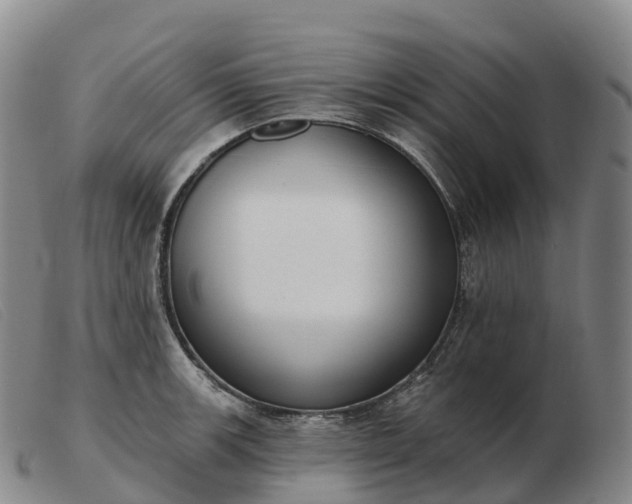 X0000103461139200809191806