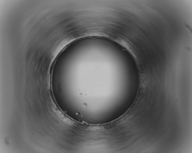 X0000103461140200809191806