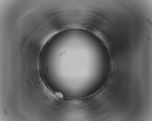 X0000103461141200809191806