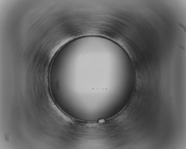 X0000103461142200809191806