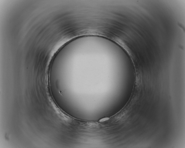 X0000103461144200809191806