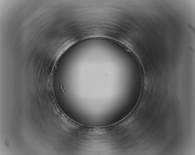 X0000103461145200809191806