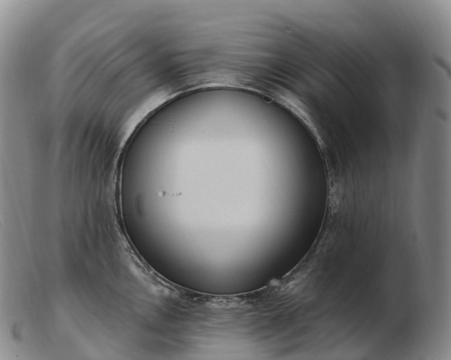 X0000103461146200809191806
