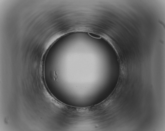 X0000103461147200809191806