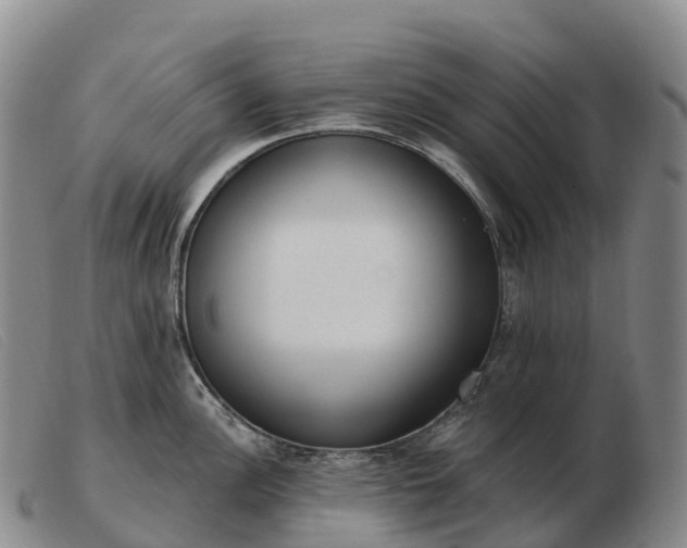 X0000103461148200809191806