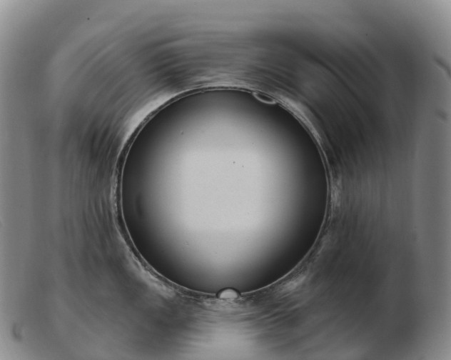 X0000103461149200809191806