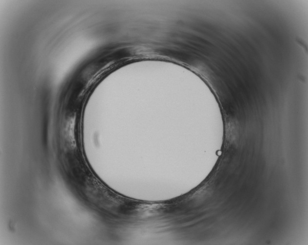 X0000103461150200809191806