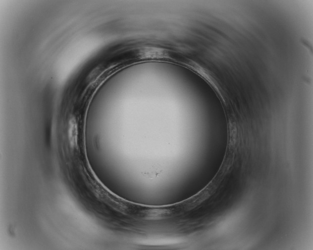 X0000103461151200809191806