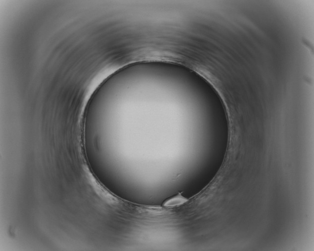 X0000103461152200809191806