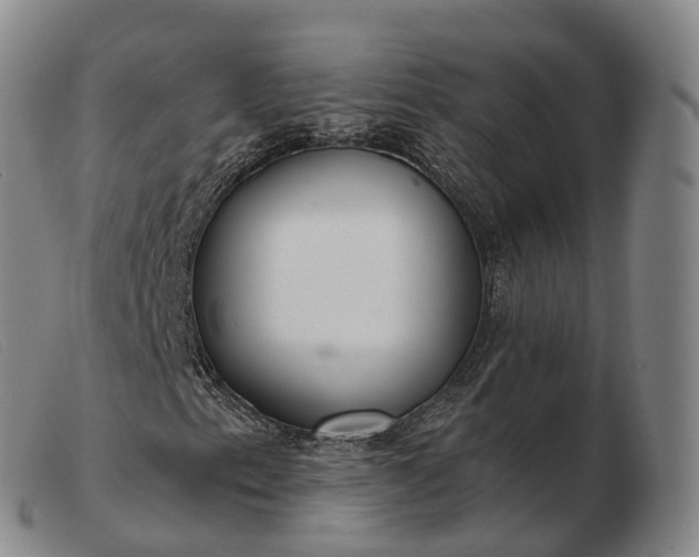 X0000103461153200809191805