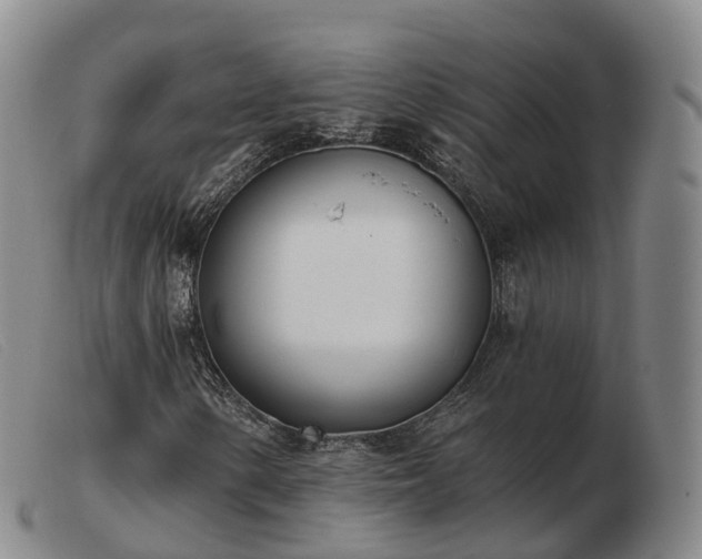 X0000103461154200809191805