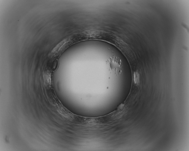 X0000103461155200809191805