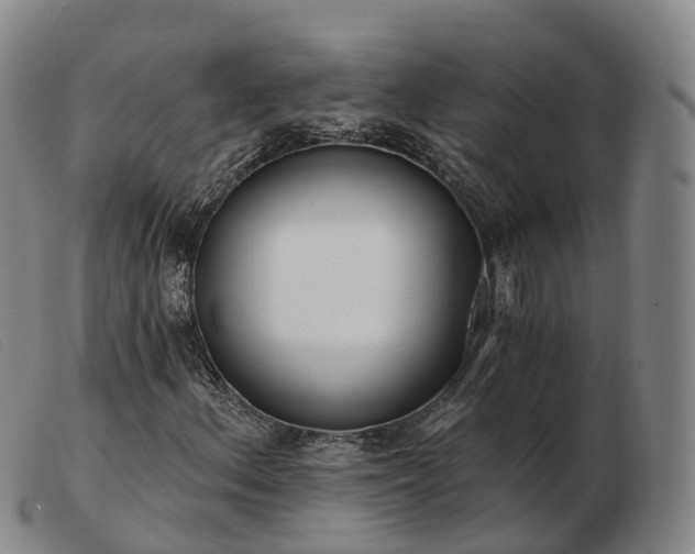 X0000103461156200809191805