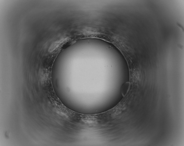 X0000103461157200809191805