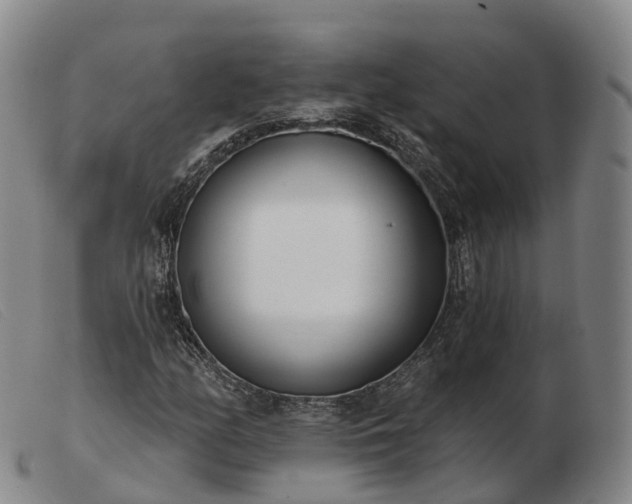 X0000103461158200809191805
