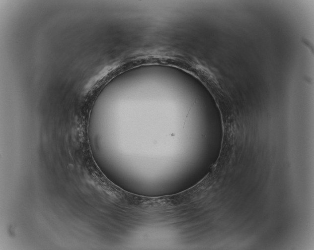 X0000103461159200809191805