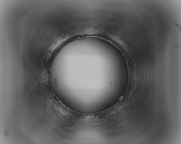 X0000103461160200809191805