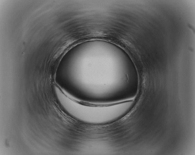 X0000103461161200809191805