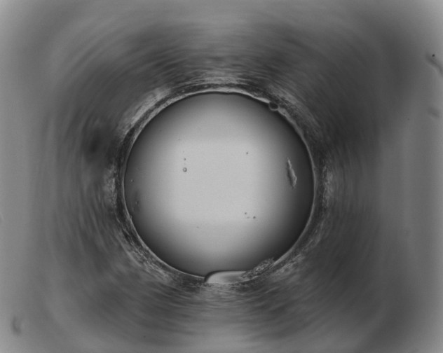 X0000103461162200809191805