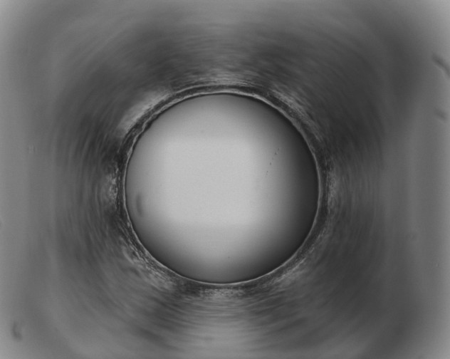 X0000103461163200809191805