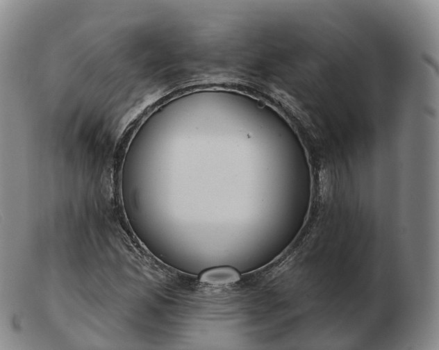 X0000103461165200809191805