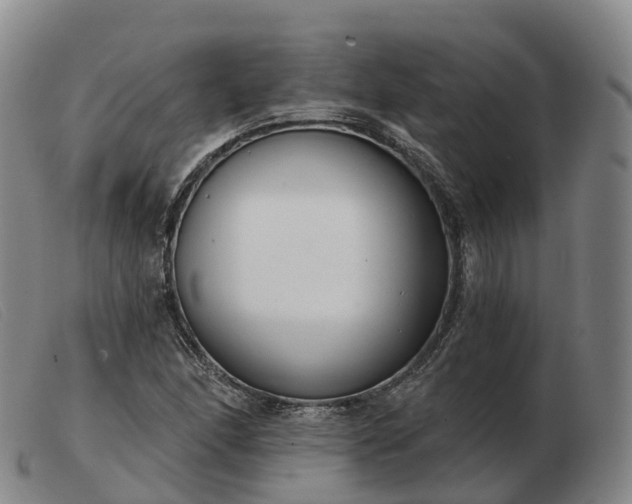 X0000103461166200809191805