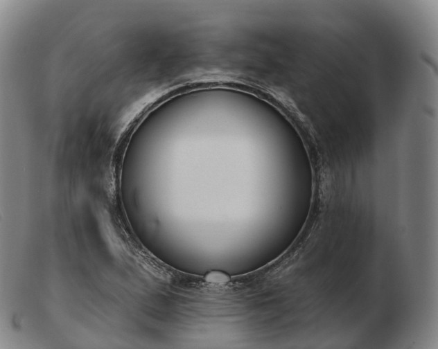 X0000103461167200809191805