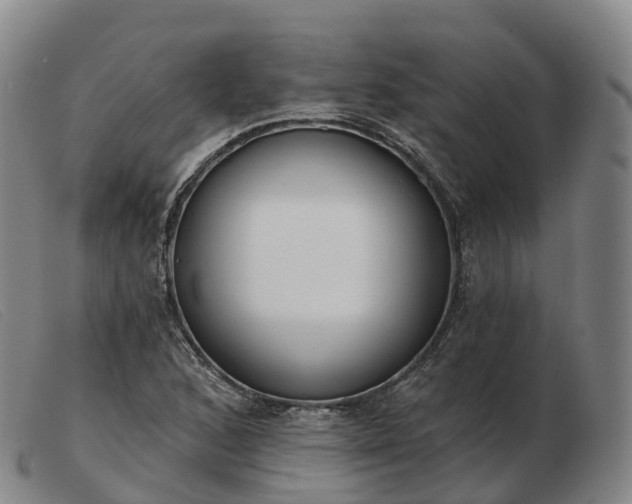 X0000103461168200809191805