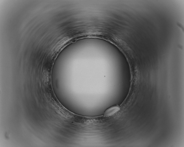 X0000103461169200809191805