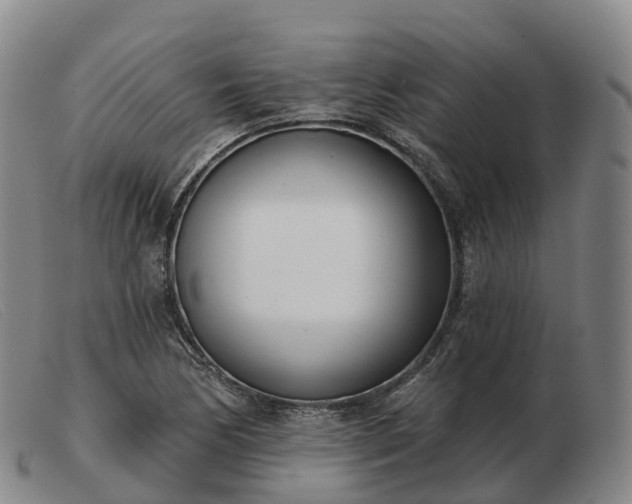 X0000103461170200809191805