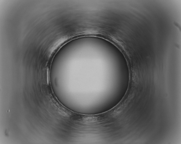 X0000103461171200809191805